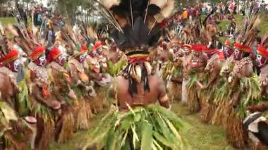 Hagen Dağı, Papua Yeni Gine - 26 Mart 25: Papuan kabile dansı. Hagen Dağı kabilesi festivali. Kültürel bir etkinlik. Yerli kadınlar ve erkek kostümleri içinde daireler çizerek dans ediyorlar. Yüksek kalite 4k görüntü.