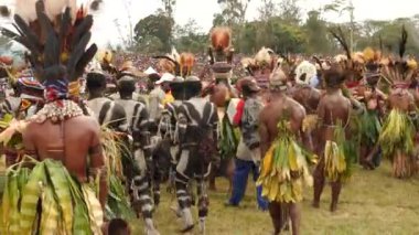 Hagen Dağı, Papua Yeni Gine - 26 Mart 25: Papuan kabile dansı. Hagen Dağı kabilesi festivali. Kültürel bir etkinlik. Yerli kadın ve erkek kostümleri içinde etrafta dolaşıyorlar. Yüksek kalite 4k görüntü.