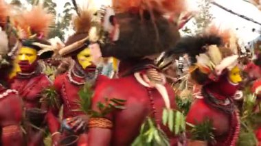 Hagen Dağı, Papua Yeni Gine - 26 Mart, 25 Mart, Huli Wigmen zıplama dansı. Hagen Dağı kabilesi festivali. Kültürel bir etkinlik. Yerli kostümlü yerli adamlar daireler çizerek dans ediyor. Yüksek kalite 4k görüntü.