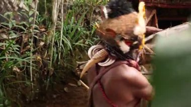 Tari, Papua Yeni Gine - 26 Mart 25: Huli Wigmen Highland bölgesinin derinliklerinde. Kabile savaşçıları töreni. Papuan kabilesi dansı. Yüksek kalite 4k görüntü.