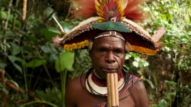 Tari, Papua Yeni Gine - 26 Mart 25: Huli Wigmen Highland bölgesinin derinliklerinde. Kabile savaşçıları töreni. Papuan kabilesi dansı. Yüksek kalite 4k görüntü.