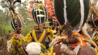 Hagen Dağı, Papua Yeni Gine - 26 Nisan, 25 Nisan, Hagen Dağı kabilesi festivali. Kültürel bir etkinlik. Yerli kostümlü yerli adamlar. Yüksek kalite 4k görüntü.