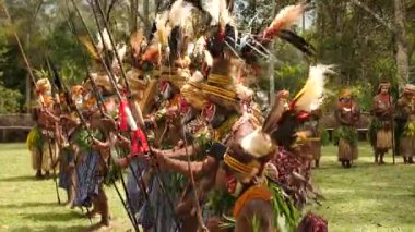 Goroka, Papua Yeni Gine - 26 Nisan 25: Papuan kabile dansı. Kabile festivali. Goroka Şovu. Kültürel bir etkinlik. Yerli kostümlü yerli adamlar sırada dans ediyor. Yüksek kalite 4k görüntü.