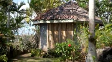 Yerel sahil hayatı. Papua Yeni Gine 'deki Papuan ormanı. Yüksek kalite 4k görüntü