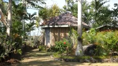 Yerel sahil hayatı. Papua Yeni Gine 'deki Papuan ormanı. Yüksek kalite 4k görüntü