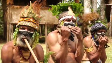 Goroka, Papua Yeni Gine - 26 Nisan 25: Papuan kabile dansı. Kabile festivali. Goroka Şovu. Kültürel bir etkinlik. Yerli kostümlü yerli adamlar. Yüksek kalite 4k görüntü.