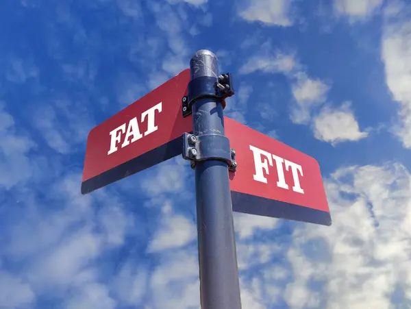 Fat vs Fit. White two street signs with arrow on metal pole with word. Directional road. Crossroads Road Sign, Two Arrow. Blue sky background. Two way road sign with text.