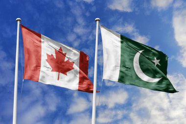 3 boyutlu illüstrasyon. Kanada ve Pakistan bayrağı gökyüzünde dalgalanıyor. Yüksek detaylı el sallama bayrağı. 3 boyutlu görüntüleme. Gökyüzünde el sallıyor. Bulutlu gökyüzünde bayraklar dalgalanıyor.