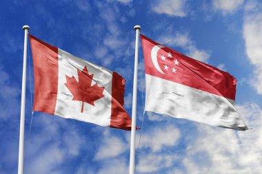 3 boyutlu illüstrasyon. Kanada ve Singapur bayrağı gökyüzünde dalgalanıyor. Yüksek detaylı el sallama bayrağı. 3 boyutlu görüntüleme. Gökyüzünde el sallıyor. Bulutlu gökyüzünde bayraklar dalgalanıyor.