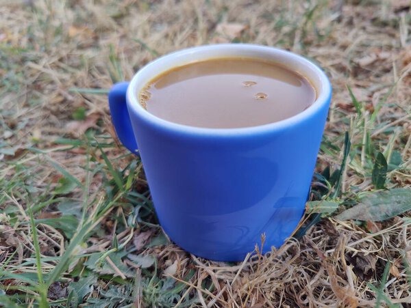 Простая голубая чашка кофе в траве: в поисках комфорта в объятиях природы