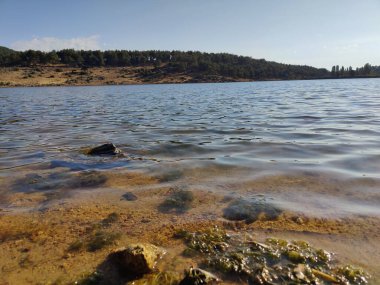 Doğanın Huzuru: Huzurlu Suyun Ortasında Yalnız Bir Kaya, Dayanıklılık ve Dayanıklılığı Sembolize Ediyor