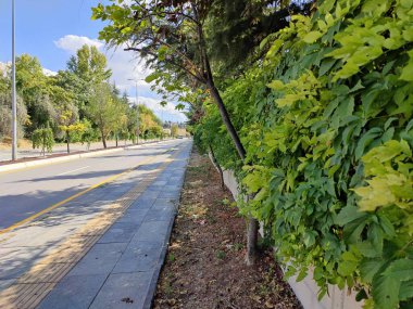Denge Yolu: Şehir Çizgilerinin Doğayla Buluştuğu Sessiz Bir Sokak Hayat Yolculuğunda Yumuşak Kucaklaşma