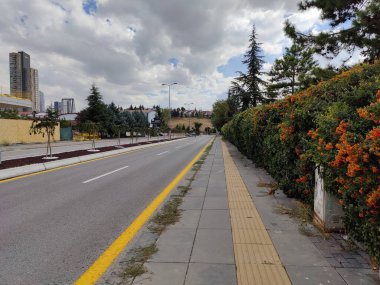 Sonsuz Yoldaki Yalnızlık Yolculuğu, Çevrelenmiş Şehir Büyümesi ve Doğanın Dayanıklılığı