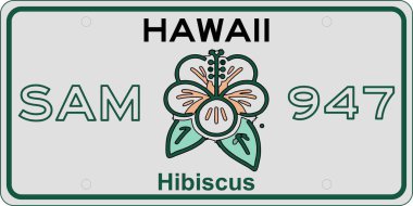 Hawaii ikonik amber çiçeğinin bulunduğu bir araba plakası. Canlı tropikal güzelliği ve adaların misafirperver ruhunu temsil ediyor. Bu tasarım cennetin özünü yansıtır, yaşamı, konukseverliği ve doğayı sembolize eder..