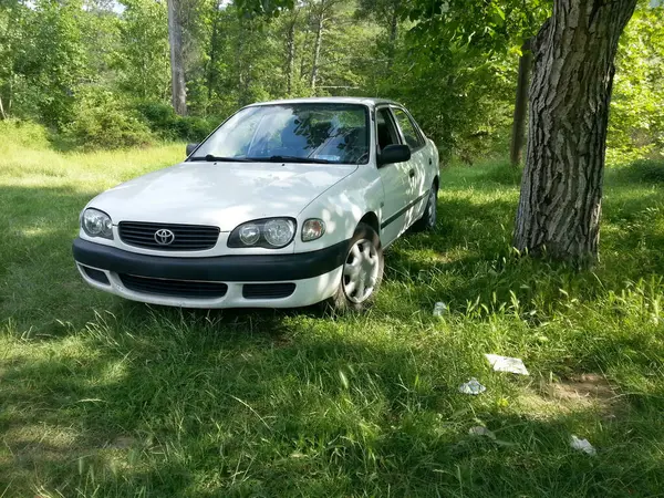 Türkiye, 21 Haziran 2014, Terk Edilmiş Toyota Corolla, bir ağacın altına park etti. Doğanın ıslah oluşunu sembolize ediyor..