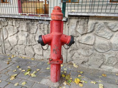 Caddelerin Sessiz Koruyucusu: Düşen Yaprakların Ortasında Güçlü Duran Yıpranmış Kırmızı İtfaiye Hiddeti, Kentsel Peyzaj Hazırlık ve Dayanıklılığı simgeliyor.