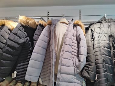 Winter Fashion Display: Elegant Quilted Puffer Jackets with Faux Fur Trim in Neutral Tones Showcase Modern Cold Weather Protection and Urban Style - A Symphony of Warmth and Sophistication. clipart