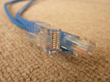 Şeffaf Bağlantılı Mavi Ethernet Kablosunun Yakın Çekimi: Temiz, İşlevsel Ağ Bağlantısı