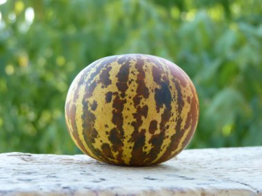 A unique striped fruit on a textured surface, blending natures artistry with earthy tones under soft daylight. clipart