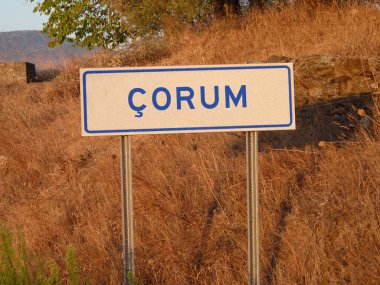 Blue 'Corum' Sign on a Metal Pole: A Bold Contrast Against the Natural Landscape of Brown Grass and Soft Shadows, Capturing a Serene Afternoon in the Heart of the City. clipart