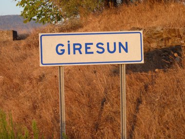 Mavi 'Giresun' Yazısı Metal Kutbunda: Kahverengi Çimen ve Yumuşak Gölgelerin Doğal Manzarasına Karşı Kalın Bir Zıtlık, Şehrin Kalbinde Serene Öğleden Sonra Yakalıyor.