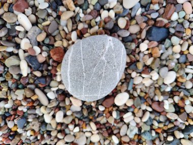 Standing Out in a Sea of Pebbles: The Unique Stone Amidst Nature's Mosaic, a Symbol of Individuality. clipart