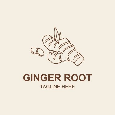 Ginger Kök Logosu Tasarım Şablonu. Bitkisel baharat vektör tasarımı. Gingier resmi logoti. Ginger Çizgisi Sanat Logosu.
