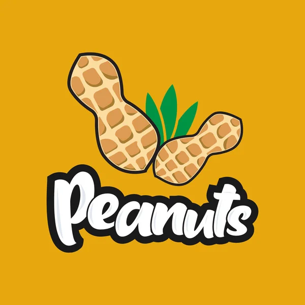 Peanuts Logo Design Template Planta Amendoim Grãos Nozes Com Folhas — Vetor de Stock