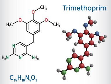 Trimethoprim, TMP molekülü. İdrar yolu, solunum ve sindirim yolu enfeksiyonlarını tedavi etmek için kullanılan antibiyotik. Yapısal kimyasal formül, molekül modeli. Vektör illüstrasyonu