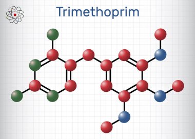 Trimethoprim, TMP molekülü. Antibiyotik, idrar yolu, solunum ve sindirim yolu enfeksiyonlarını tedavi etmek için kullanılır. Yapısal kimyasal formül, molekül modeli. Kafesteki bir kağıt parçası. Vektör illüstrasyonu