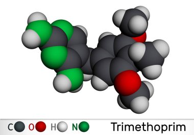Trimethoprim, TMP molekülü. İdrar yolu, solunum ve sindirim yolu enfeksiyonlarını tedavi etmek için kullanılan antibiyotik. Moleküler model. 3B görüntüleme