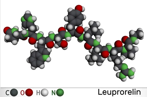 Leuproreline Leuprolidemolecuul Het Geneesmiddel Voor Behandeling Van Prostaatkanker Baarmoeder Leiomyomata — Stockfoto
