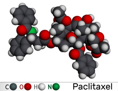 Paclitaxel, PTX molekülü. Yumurtalık, göğüs ve akciğer kanserinin tedavisinde kullanılan taksonoit kemoterapi maddesi. Moleküler model. 3 boyutlu görüntüleme. Görüntü