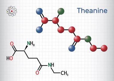 Theanine, anin molekülü. Nöroaktif etken, bitki metaboliti, yeşil çayda bulunur. Yapısal kimyasal formül, molekül modeli. Kafesteki bir kağıt parçası. Vektör illüstrasyonu