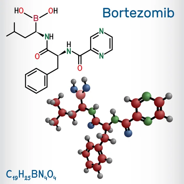 Molekula Bortezomibu Jedná Protinádorové Léky Používané Léčbě Mnohočetného Myelomu Lymfomu — Stockový vektor