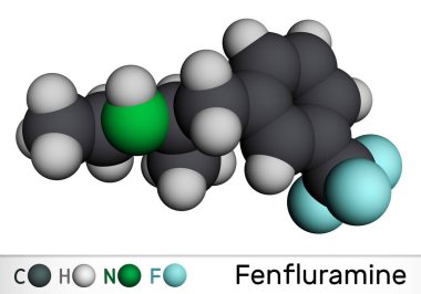 Fenfluramin ilaç molekülü. Bu phenethylamine, iştah açıcı olarak kullanılır. Moleküler model. 3 boyutlu görüntüleme. Görüntü