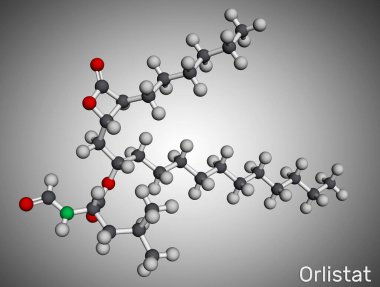 Orlistat molekülü. Obezite tedavisinde kullanılan lipaz inhibitörü. Moleküler model. 3 boyutlu görüntüleme. Görüntü
