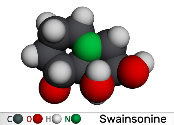 Swainsonine Μόριο Tridolgosir Είναι Αλκαλοειδές Ινδολιζιδίνης Από Φυτό Swainsona Ανοσοτροποποιητική — Φωτογραφία Αρχείου