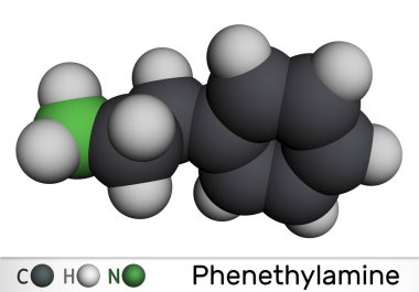 Fenetilamin, PEA molekülü. Monoamin alkaloit, insanlarda merkezi sinir sistemi uyarıcısı. Moleküler model. 3 boyutlu görüntüleme. Görüntü