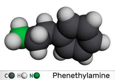 Phenethylamine, PEA molecule. It is monoamine alkaloid, central nervous system stimulant in humans. Molecular model. 3D rendering. Illustration clipart