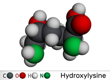 Hidroksilin, Hyl molekülü. Amino asit, insan metaboliti. Moleküler model. 3 boyutlu görüntüleme. Görüntü