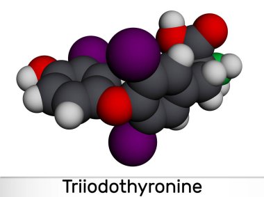 Triyodotironin, T3, liyotironin molekülü. Tiroid hormonu, hipotiroidizmi tedavi etmek için kullanılan hipofiz bezi hormonu. Moleküler model. 3 boyutlu görüntüleme. Görüntü