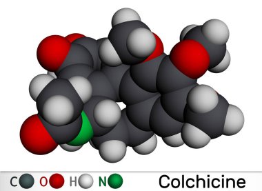 Kolşisin molekülü. Gut ve iltihap önleyici aktiviteleri olan alkaloit, ağrının semptomatik olarak azaltılmasında kullanılır. Moleküler model. 3 boyutlu görüntüleme. Görüntü