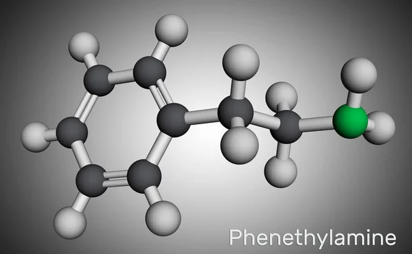 Fenetilamin Pea Molekülü Monoamin Alkaloit Insanlarda Merkezi Sinir Sistemi Uyarıcısı — Stok fotoğraf