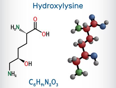 Hidroksilin, Hyl molekülü. Amino asit, insan metaboliti. Yapısal kimyasal formül ve molekül modeli. Vektör illüstrasyonu