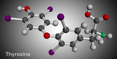 Tiroksin, T4, levotiroksin molekülü. Tiroid hormonu. Tirodin T3 'ün prohormonu. Hipotiroidizmi tedavi etmek için kullanılır. Moleküler model. 3 boyutlu görüntüleme. Görüntü