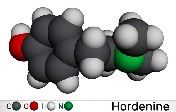 Hordenine Classe Dimetiltiramina Molecola Alcaloide Della Fenetilammina Prodotto Naturale Modello — Foto Stock