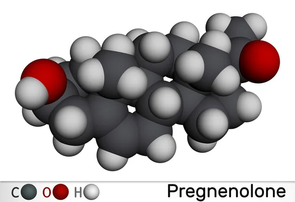 Pregnenolone Molecola Prodotto Naturale Neurosteroide Ormone Steroide Endogeno Modello Molecolare — Foto Stock