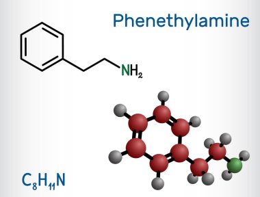 Fenetilamin, PEA molekülü. Monoamin alkaloit, insanlarda merkezi sinir sistemi uyarıcısı. Yapısal kimyasal formül ve molekül modeli. Vektör illüstrasyonu