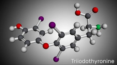 Triyodotironin, T3, liyotironin molekülü. Tiroid hormonu, hipotiroidizmi tedavi etmek için kullanılan hipofiz bezi hormonu. Moleküler model. 3 boyutlu görüntüleme. Görüntü